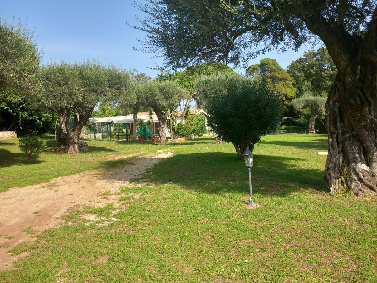 Katia Cottage Kassiopi Exteriör bild